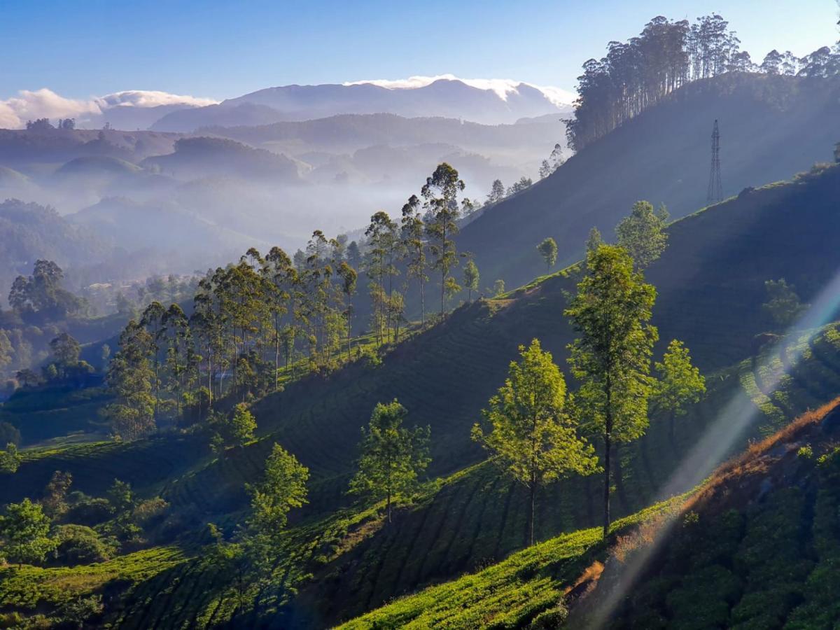 Grace Inn Munnar Homestay Екстер'єр фото